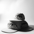 Canvas 001